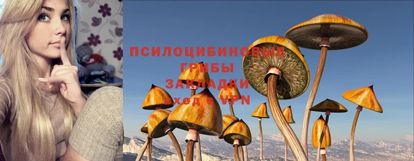 дживик Аркадак