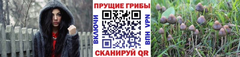 кракен ONION  наркота  Почеп  Галлюциногенные грибы ЛСД 